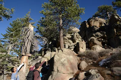 DSC_5186 (Large).JPG